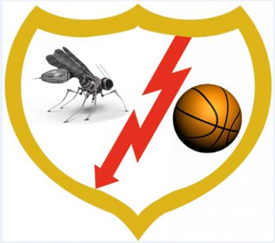 PARTIDO CONTRA RAYO MOSQUITO   SÁBADO 9, A LAS 15:00   PABELLÓN RAMIRO SOLANS (BARRIO OLIVER)